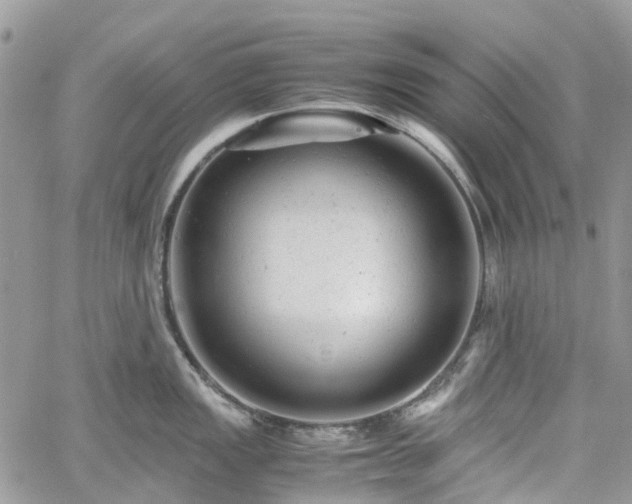 X0000061121149200511181108
