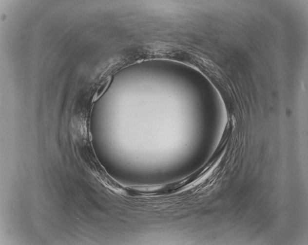 X0000061121155200511181107