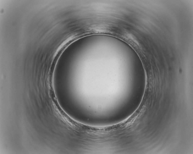 X0000061121182200511181107