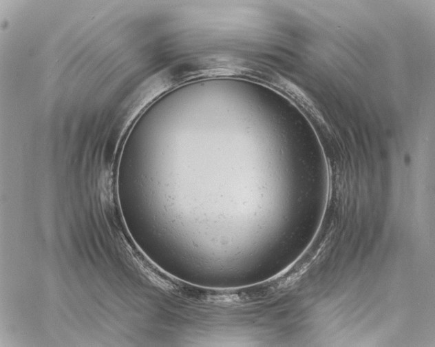 X0000061121186200511181106