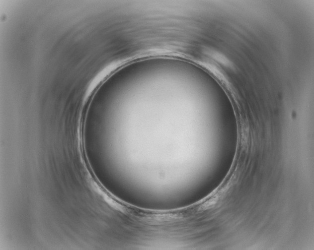 X0000061121294200511181105