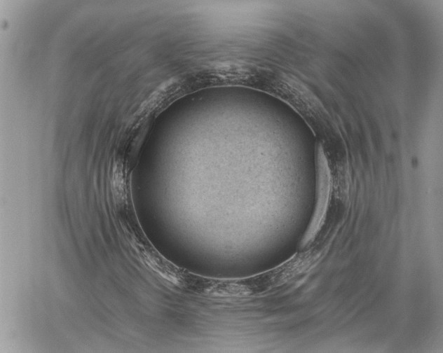 X0000061121298200511181104