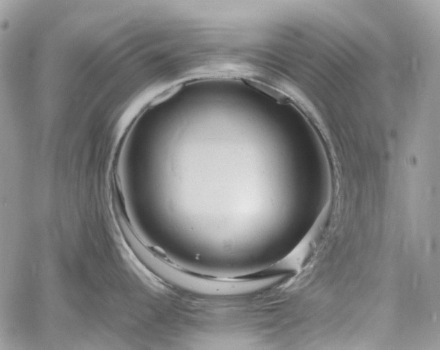 X0000061121344200511181105