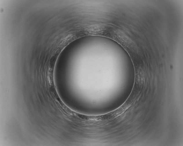 X0000061121346200511181104