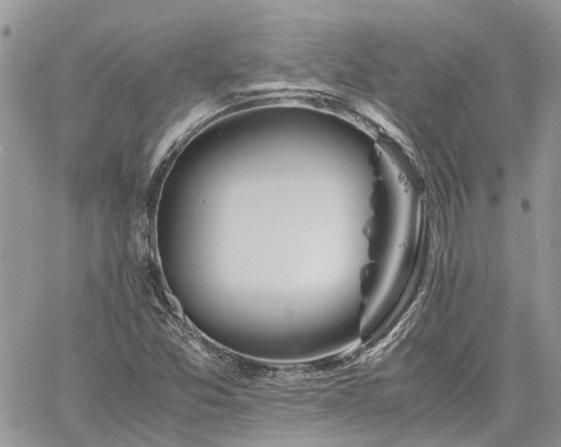 X0000061121357200511181104