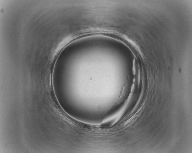 X0000061121365200511181103