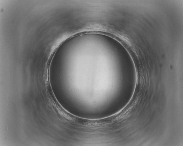 X0000061121366200511181103