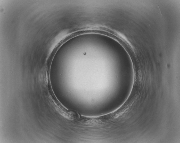 X0000061121368200511181103