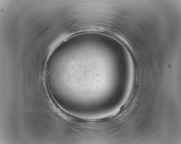 X0000061121379200511181103