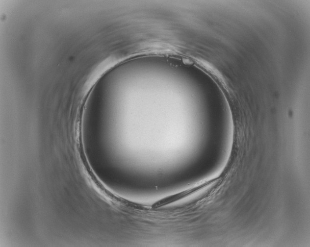 X0000061121383200511181103