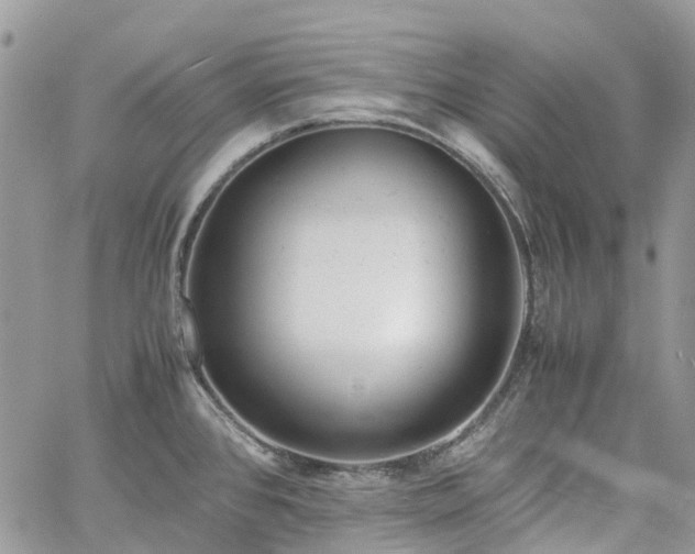 X0000061121384200511181103