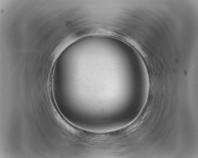 X0000061121387200511181103