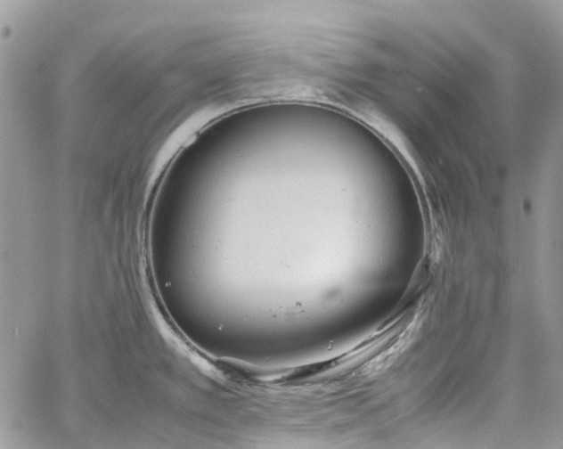 X0000061121389200511181103