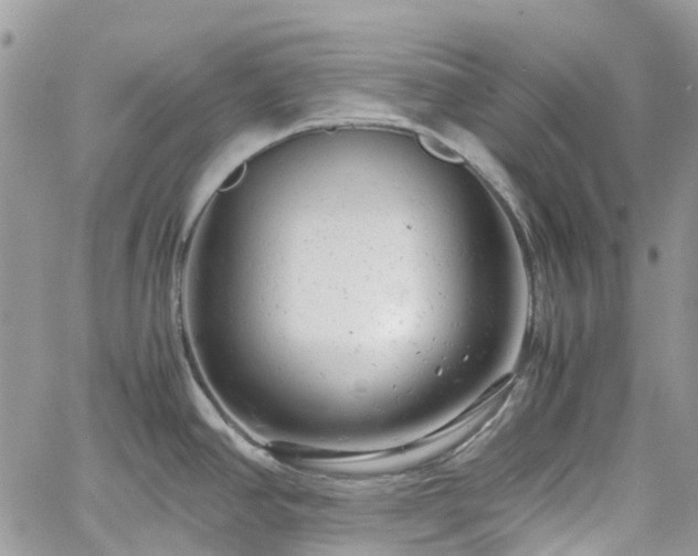 X0000061121390200511181103