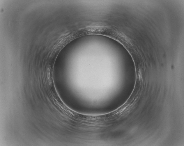 X0000061121396200511181102