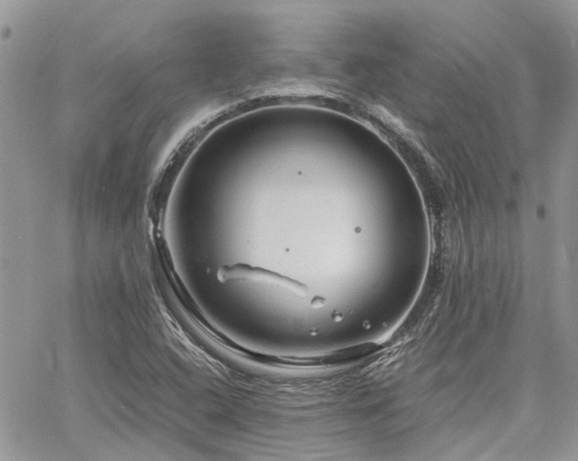 X0000061121408200511181103