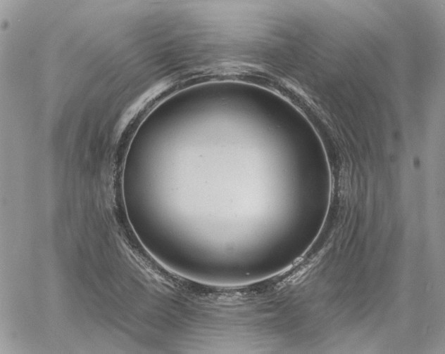 X0000061121410200511181103