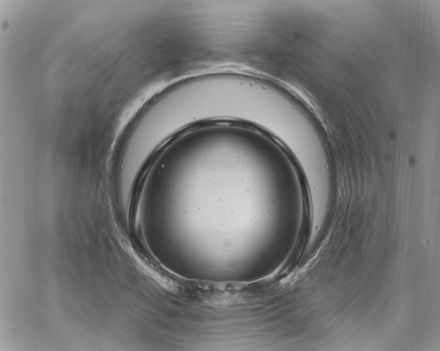 X0000061121414200511181103