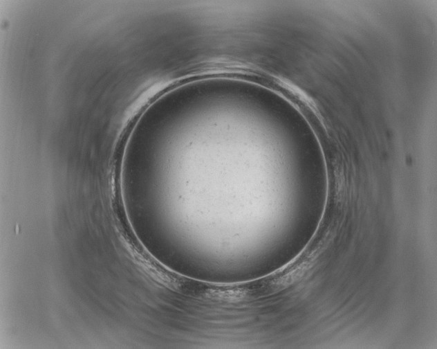 X0000061121415200511181103