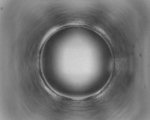 X0000061121421200511181103