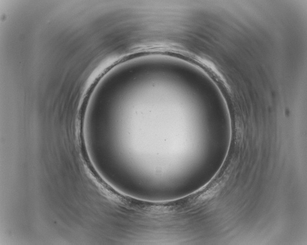 X0000061121424200511181103