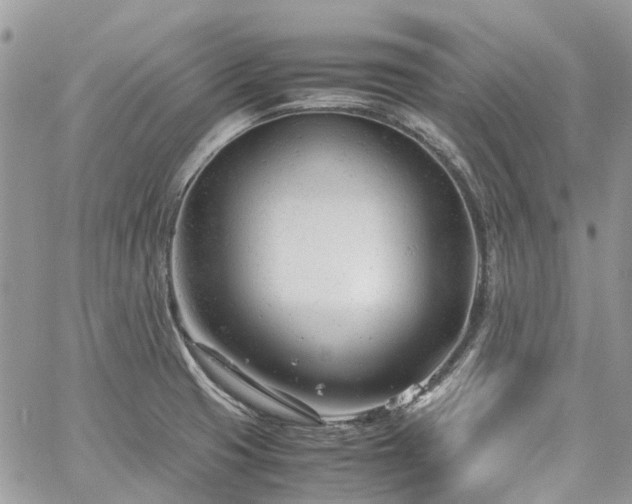 X0000061121425200511181103