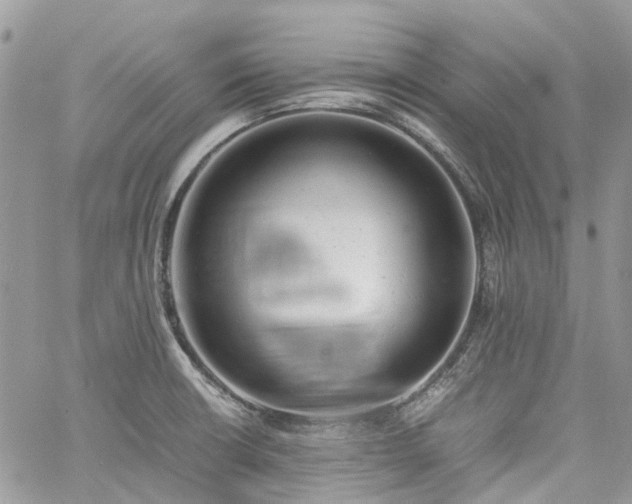 X0000061121426200511181103