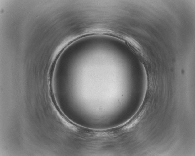 X0000061121430200511181103