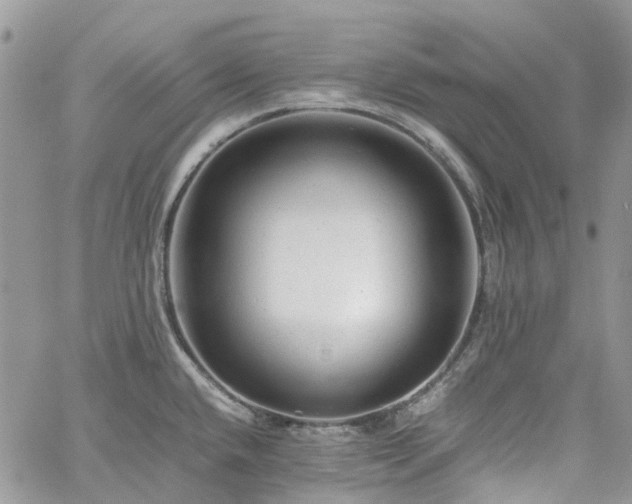 X0000061121432200511181103