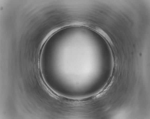 X0000061121436200511181103