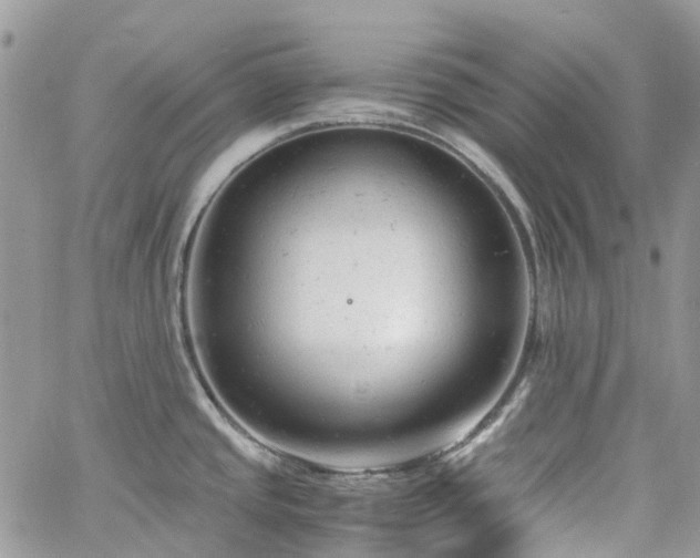 X0000061121437200511181103