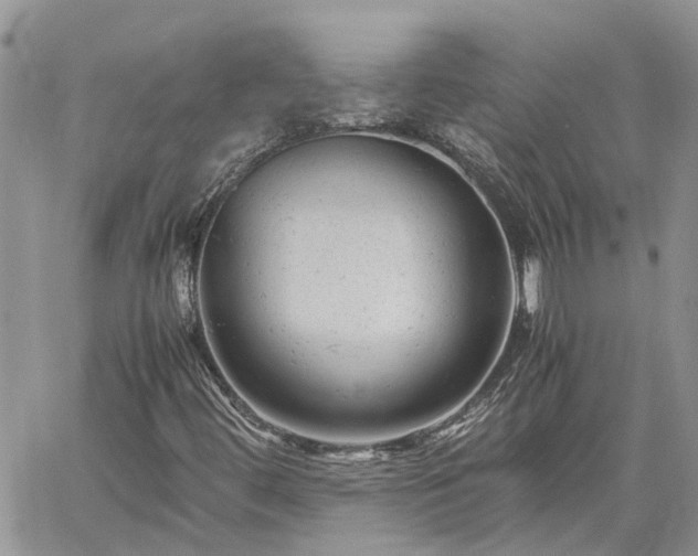 X0000061121444200511181102