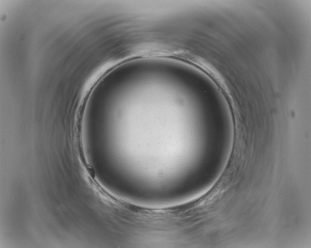 X0000061121488200511181101