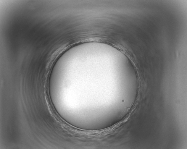 X0000061120001200511211013