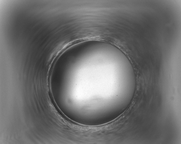 X0000061120002200511211013