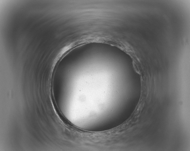 X0000061120003200511211013