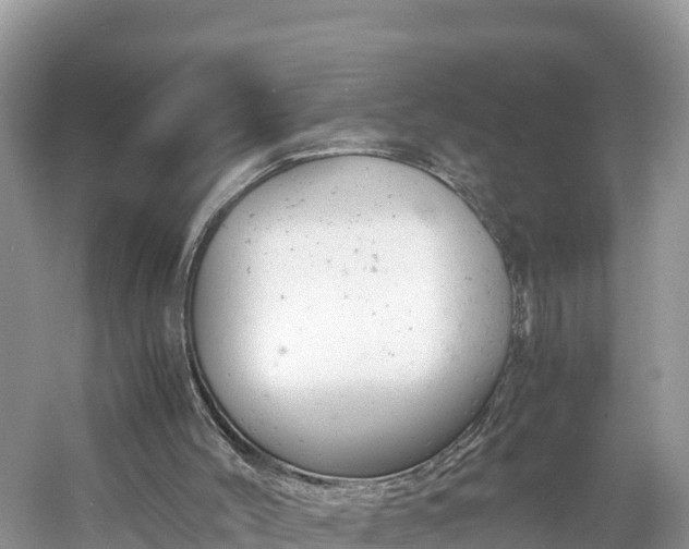 X0000061120004200511211013