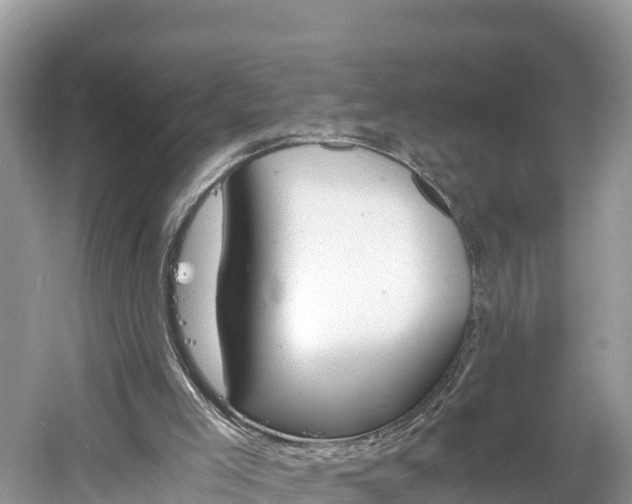 X0000061120005200511211013