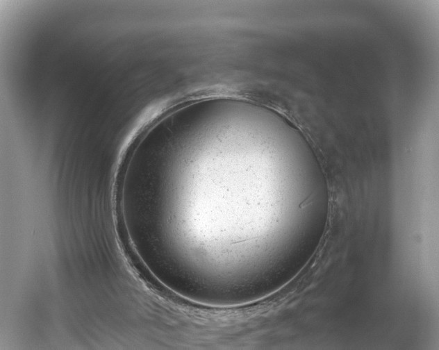 X0000061120006200511211013
