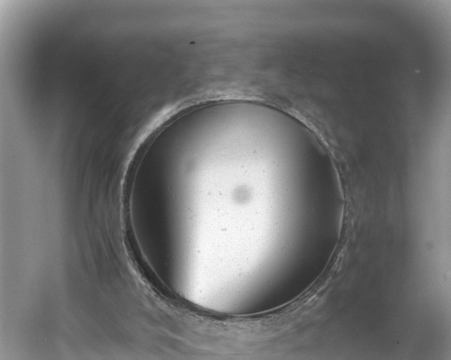 X0000061120008200511211013