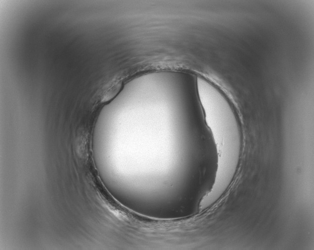 X0000061120009200511211013