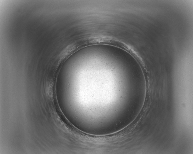 X0000061120010200511211013