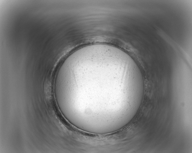 X0000061120012200511211013