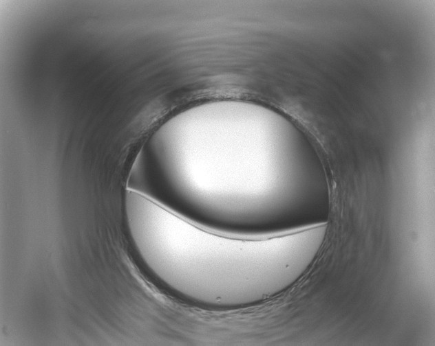 X0000061120013200511211013