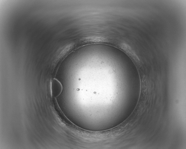 X0000061120014200511211013