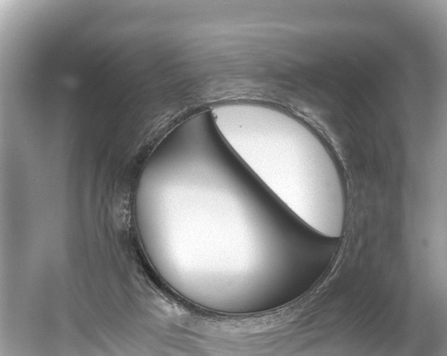 X0000061120017200511211013