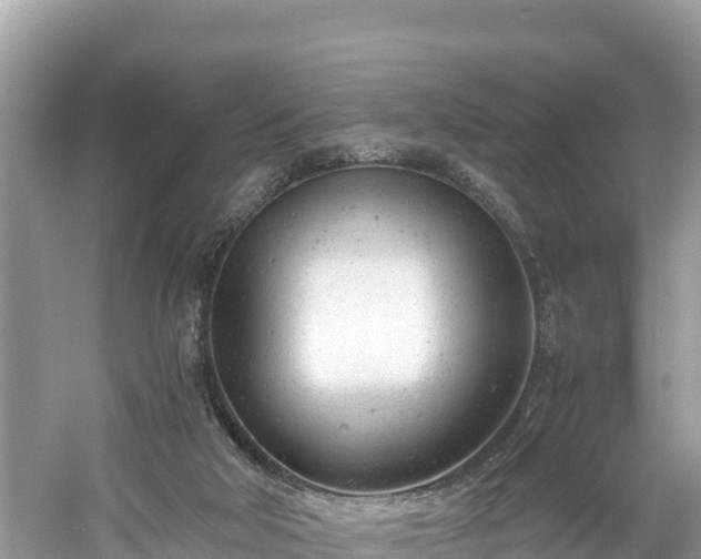 X0000061120018200511211013