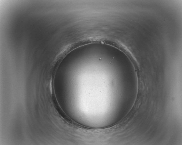 X0000061120019200511211013