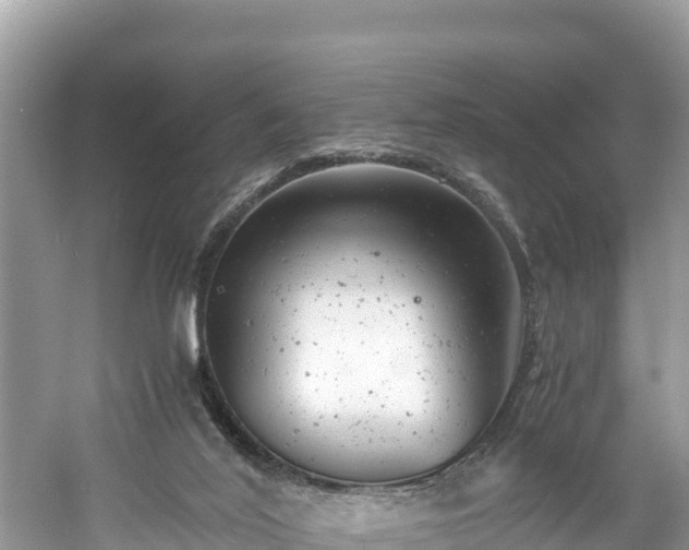 X0000061120020200511211013