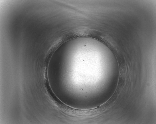 X0000061120023200511211013